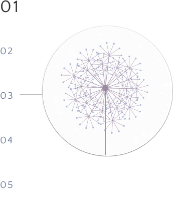 Motion Design Website Diagram Motion Design Website Diagram