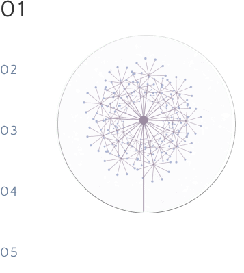 Motion Design Website Diagram