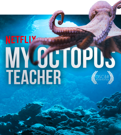 Our Video That Was Shown On Netflix Streaming Video Our Video That Was Shown On Netflix Streaming Video