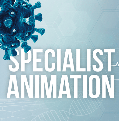 Specialist Animation Services By Dragonfly