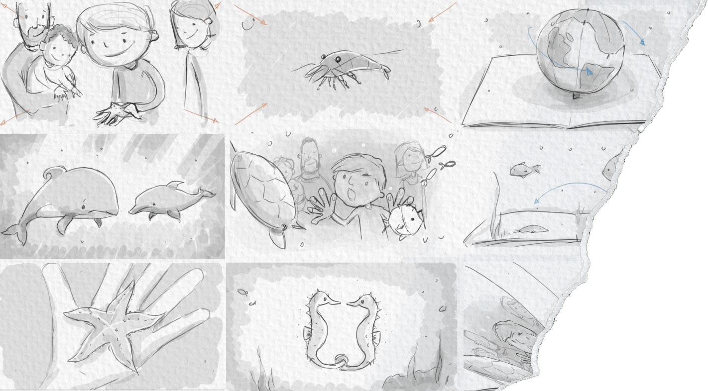 Storyboard of the SeaLife promotional video