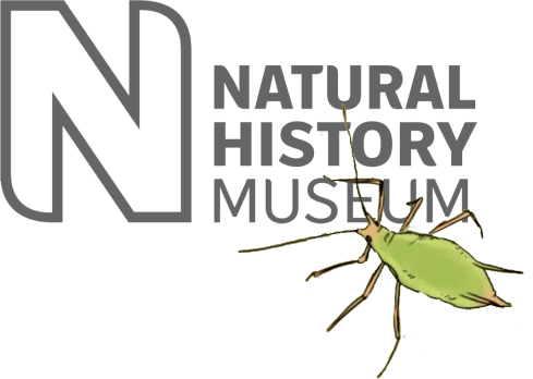 Natural History Museum Logo with insect