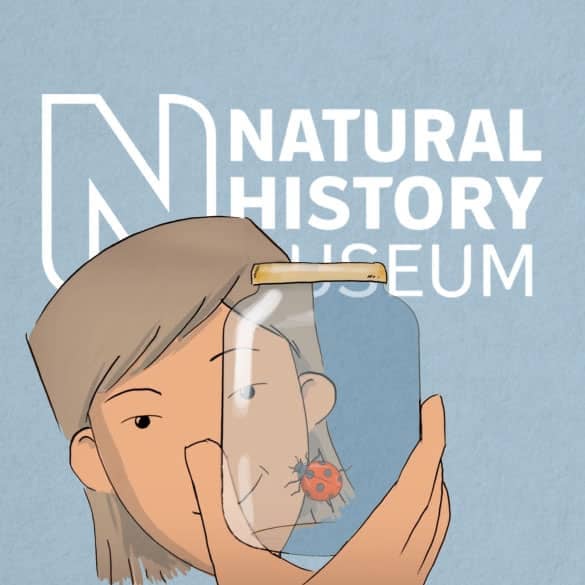 NHM Logo with animated character looking at a ladybug in a glass jar