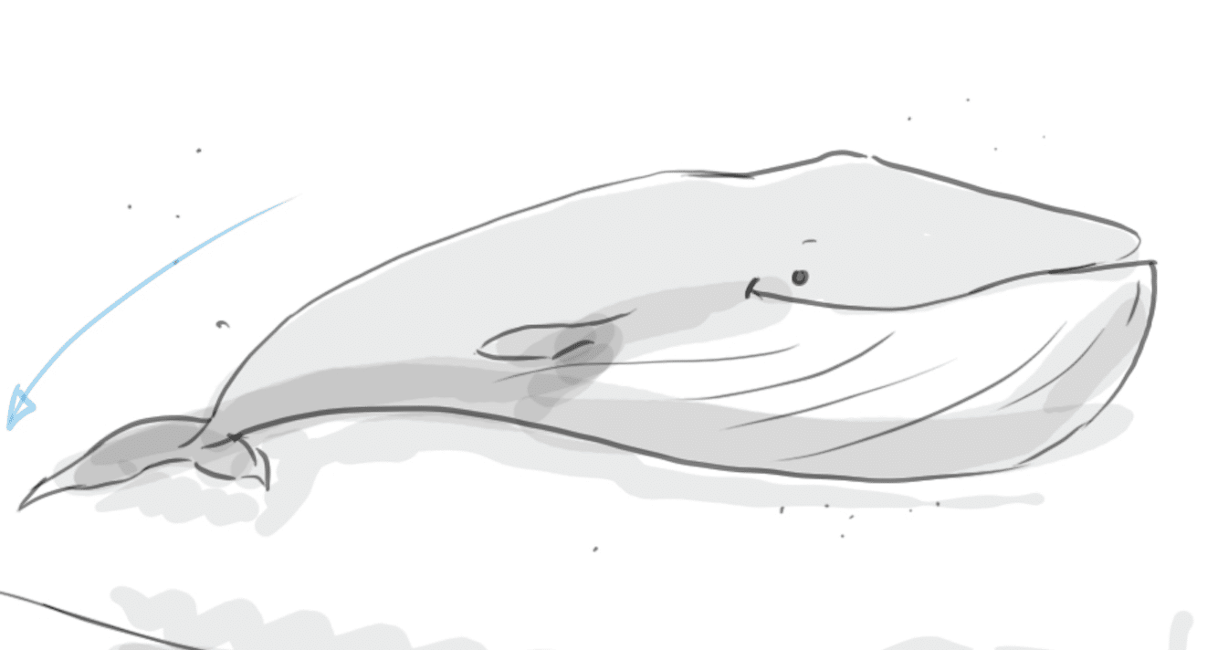 Sealife hand-drawn animated whale