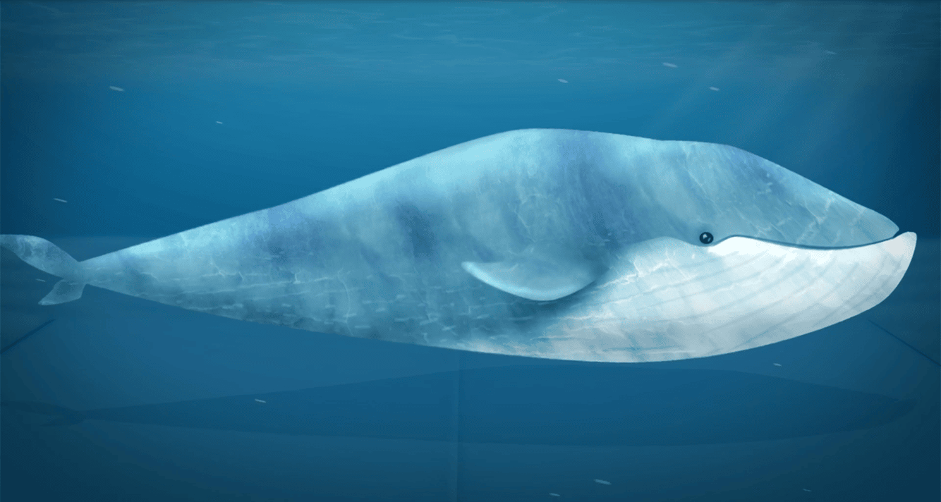 Hand-drawn animated whale in blue water