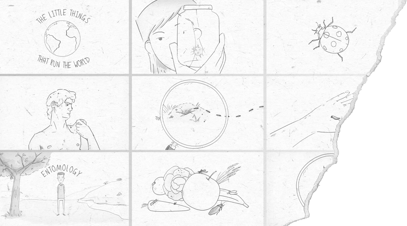 Storyboard development for the Natural History Museum promotional video produced by Dragonfly