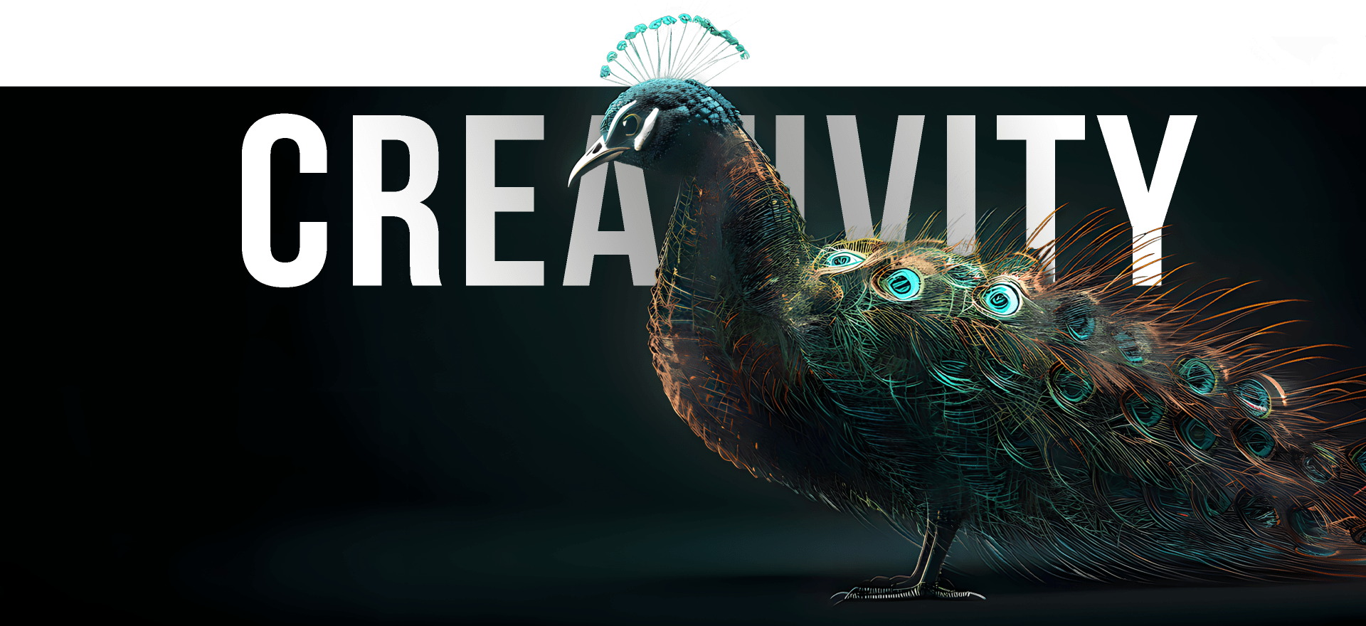 A vibrant peacock stands against a black background, featuring the word "CREATIVITY" in large white letters behind it. The peacock's colorful feathers are vividly detailed, showcasing shades of blue, green, and hints of orange.