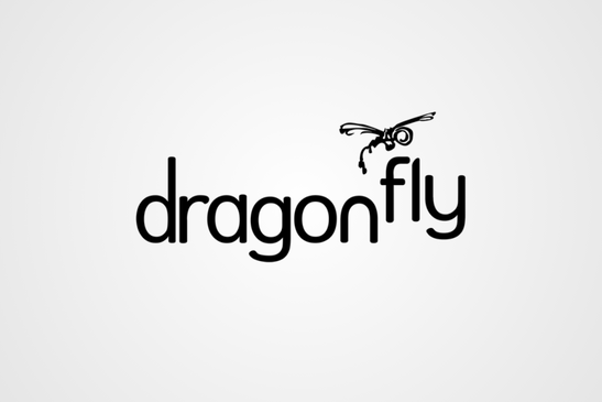 Dragonfly Animation Studio Logo