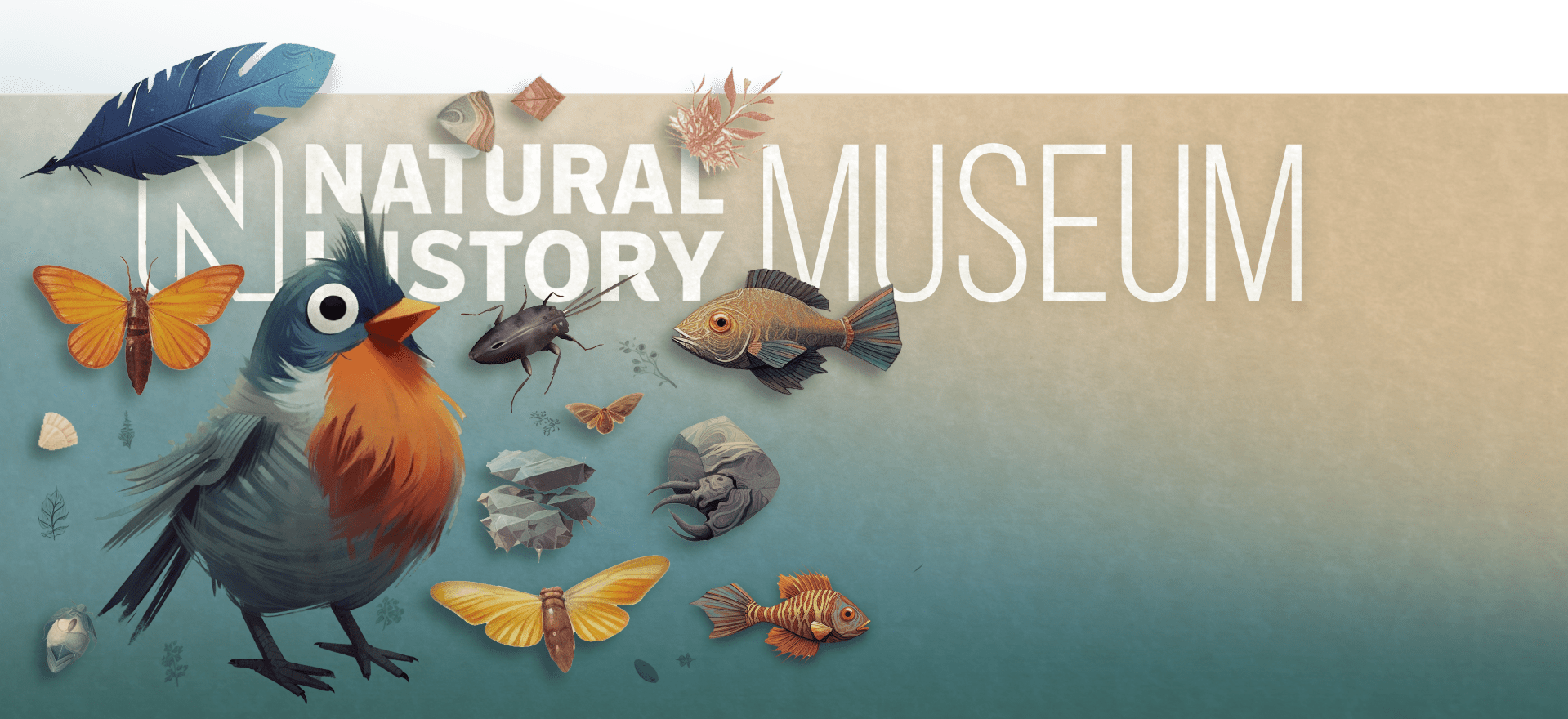 Illustration of a colorful bird, butterflies, fish, leaves, and fossils against a gradient background. The text reads "Natural History Museum." Various natural elements surround the bird, creating a vibrant and dynamic composition.