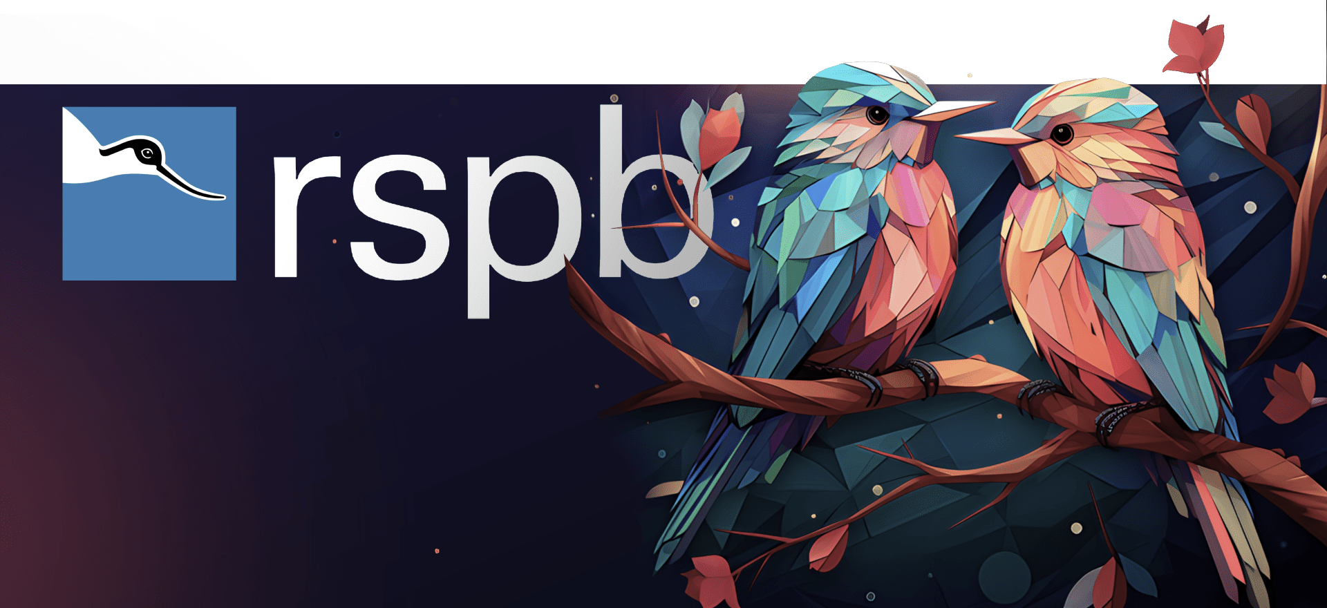 Illustration of two colorful birds perched on a branch with leaves, against a dark background. The letters "rspb" are displayed prominently, along with a blue square containing a white bird silhouette.